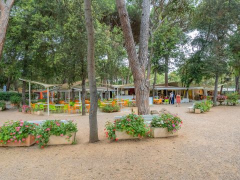 Camping Etruria - Camping Livourne - Image N°34