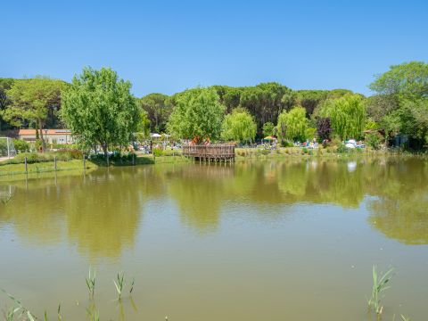 Camping Etruria - Camping Livourne - Image N°13