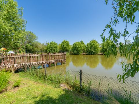 Camping Etruria - Camping Livourne - Image N°15