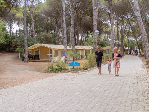 Camping Etruria - Camping Livourne - Image N°40
