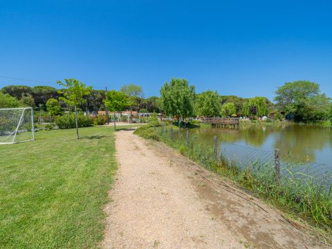 Camping Etruria - Camping Livourne - Image N°12