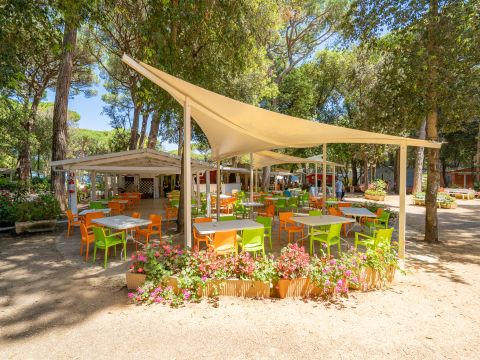 Camping Etruria - Camping Livourne - Image N°31