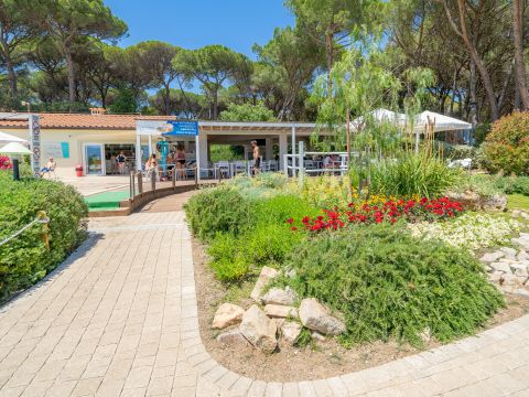 Camping Etruria - Camping Livourne - Image N°11