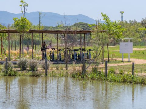 Camping Etruria - Camping Livourne - Image N°18
