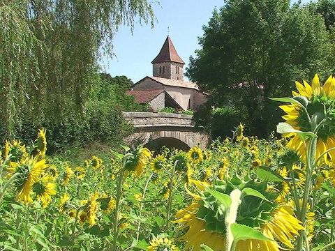 Camping Le Clos de La Lère - Camping Tarn-et-Garonne - Image N°17