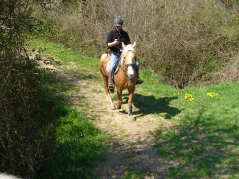 Camping Le Clos de La Lère - Camping Tarn-et-Garonne - Image N°8
