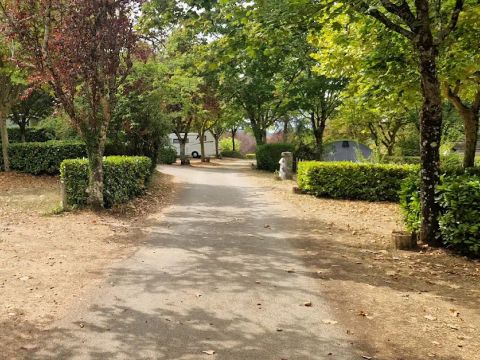 Camping Le Pech de Caumont - Camping Dordogne - Image N°19