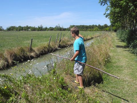 Camping L'île Cariot - Camping Vendée - Image N°31