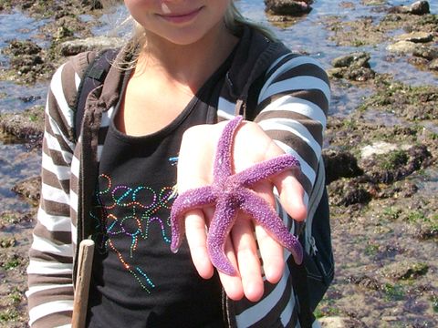 Camping L'île Cariot - Camping Vendée - Image N°60