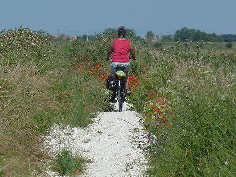 Camping L'île Cariot - Camping Vendée - Image N°68