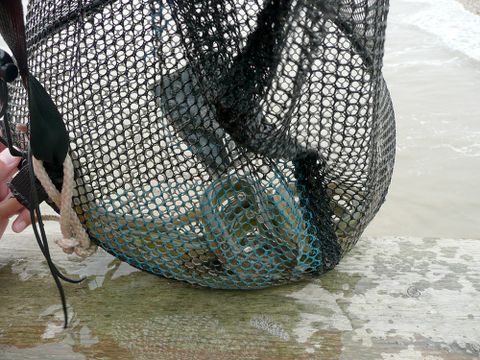 Camping L'île Cariot - Camping Vendée - Image N°63