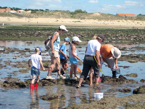Camping L'île Cariot - Camping Vendée - Image N°103