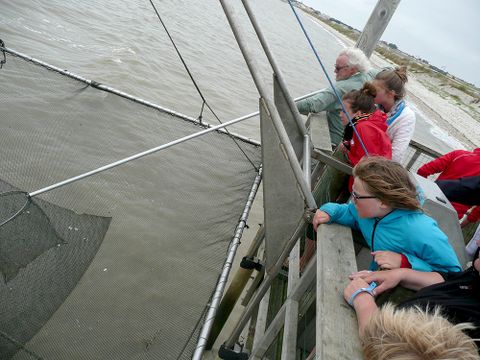 Camping L'île Cariot - Camping Vendée - Image N°59