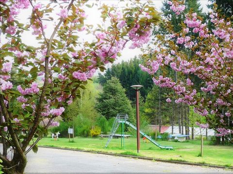 Camping La Chanterelle - Camping Haute-Loire - Image N°14