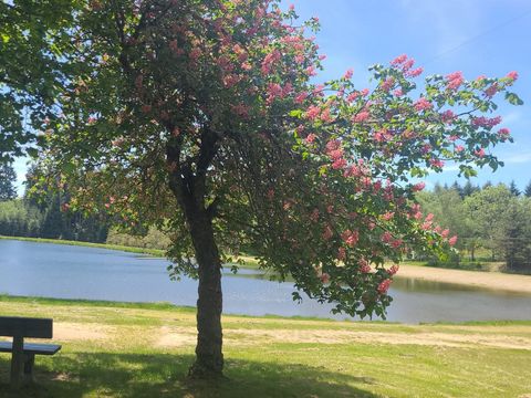 Camping La Chanterelle - Camping Haute-Loire - Image N°27