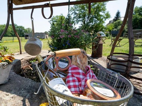 Village Toue du Domaine des Demoiselles  - Camping Allier - Image N°33