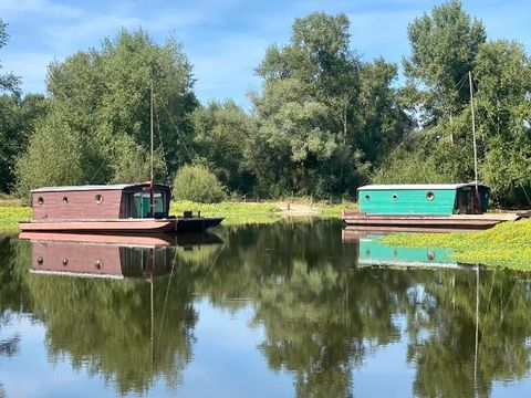 Village Toue du Domaine des Demoiselles  - Camping Allier - Image N°11