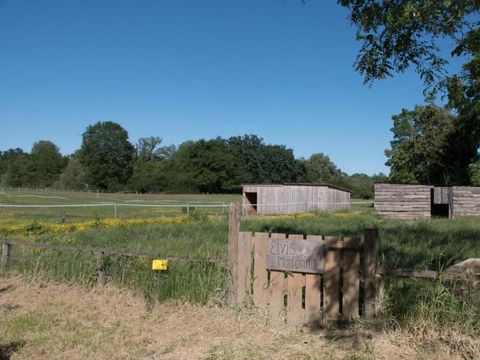 Village Toue du Domaine des Demoiselles  - Camping Allier - Image N°24