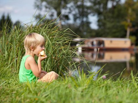 Village Toue du Domaine des Demoiselles  - Camping Allier - Image N°19
