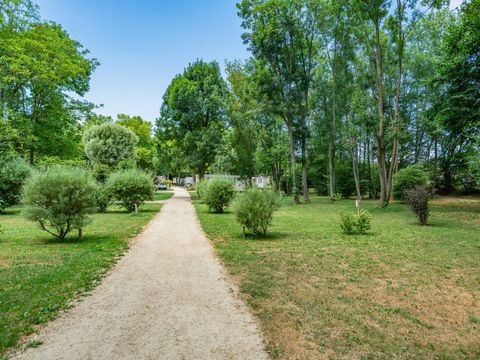 Emplacement - Emplacement | Essential | Tente | Véhicule + 7m | 100m² - 120m² | Électricité | Pas d'eau