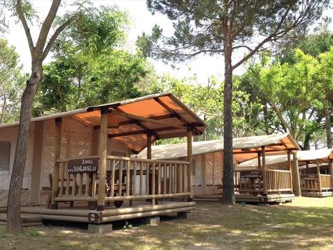 Tente en toile et en bois 5 personnes - SunLodge Jungle