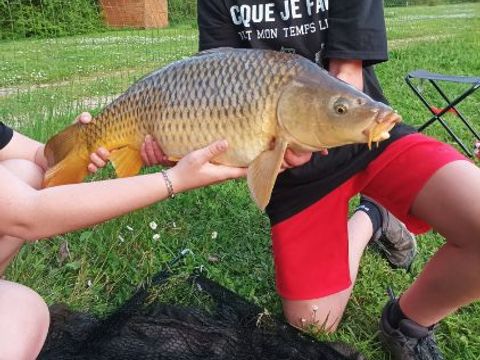 Camping Les Naïades - Camping Ardennes - Image N°21