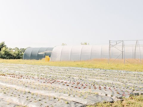 Domaine de L'Oiselière - Camping Vendée - Image N°45