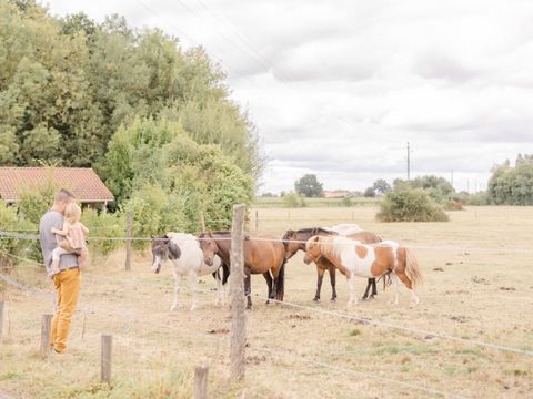 Domaine de L'Oiselière - Camping Vendée - Image N°11