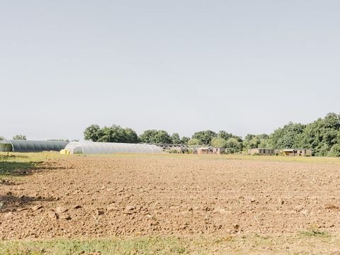 Domaine de L'Oiselière - Camping Vendée - Image N°46