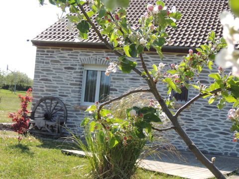 Les Chalets d'Auvergne (GITES EN CHALET) - Camping Allier - Image N°24
