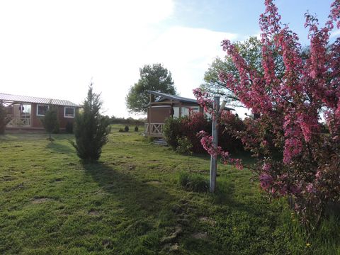 Les Chalets d'Auvergne (GITES EN CHALET) - Camping Allier - Image N°9