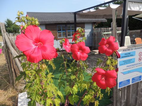 Les Chalets d'Auvergne (GITES EN CHALET) - Camping Allier - Image N°22