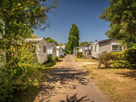 Camping Les Pirons  - Camping Vendée - Image N°9