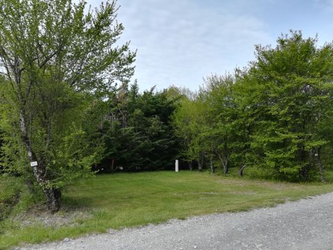 Emplacement - Forfait Privilège (1 caravane ou camping-car / 1 voiture / électricité 10A) 110m² et +
