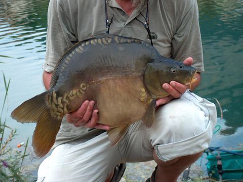 Camping le Lac Bleu - Ciela Village - Camping Drome - Image N°52