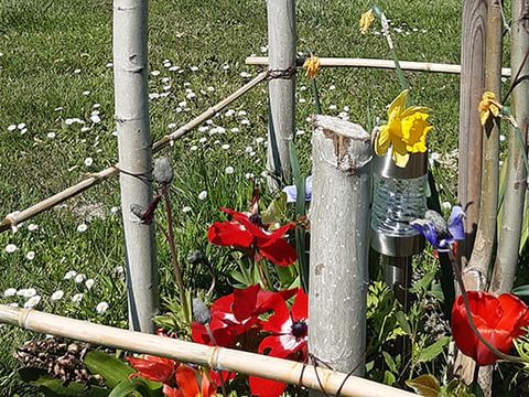 Camping les Peupliers - Camping Hérault - Image N°15