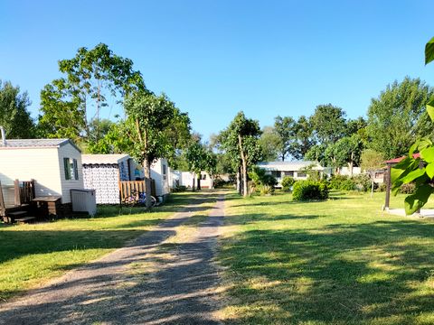 Camping la Vie  - Camping Vendée - Image N°2