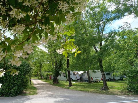 Camping La Digue - Camping Ardèche - Image N°4