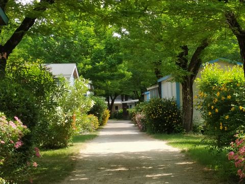 Camping La Digue - Camping Ardèche - Image N°18