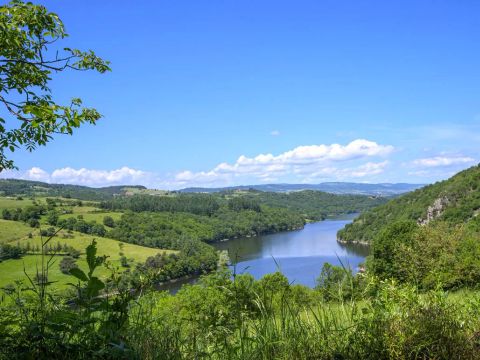 Flower Camping de Mars - Camping Loire - Image N°21