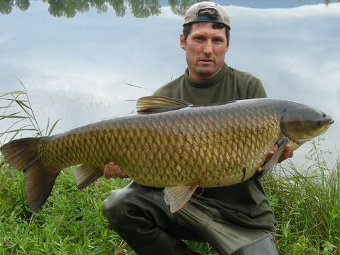 Emplacement - Forfait pêcheur ou accompagnant + véhicule