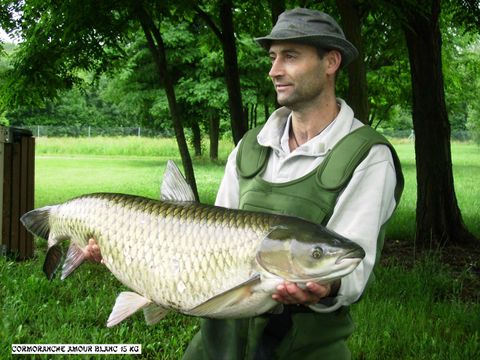 Emplacement - Forfait pêcheur ou accompagnant + véhicule