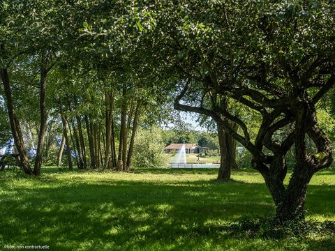 TENTE 2 personnes - bivouac perché (sanitaires communs du camping)