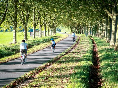 Camping du Lac de Cormoranche  - Camping Ain - Image N°76