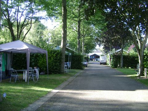 Camping du Mûrier - Camping Mayenne - Image N°8