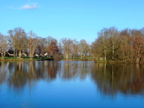Camping du Mûrier - Camping Mayenne - Image N°5