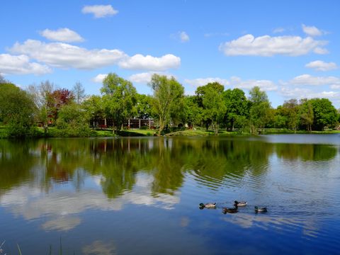 Camping du Mûrier - Camping Mayenne - Image N°6