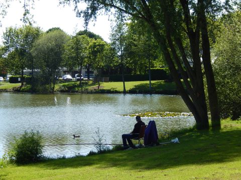 Camping du Mûrier - Camping Mayenne - Image N°3