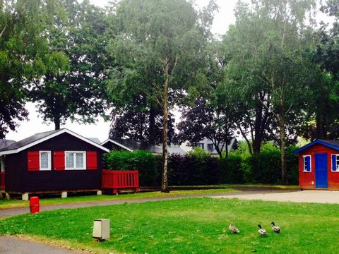 Camping du Mûrier - Camping Mayenne - Image N°4