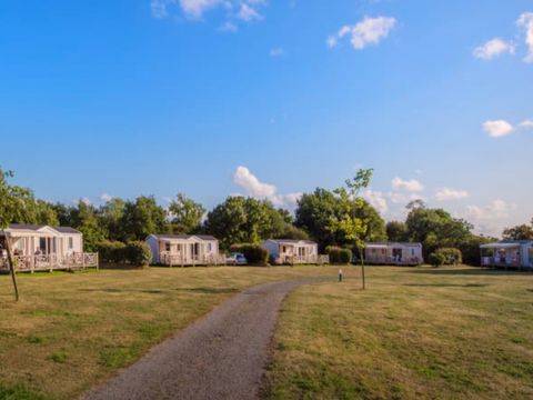 MOBILHOME 6 personnes - Huitre MOBILHOME 6 personnes - Huitre